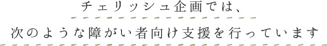 チェリッシュ企画では、次のような障がい者向け支援を行っています